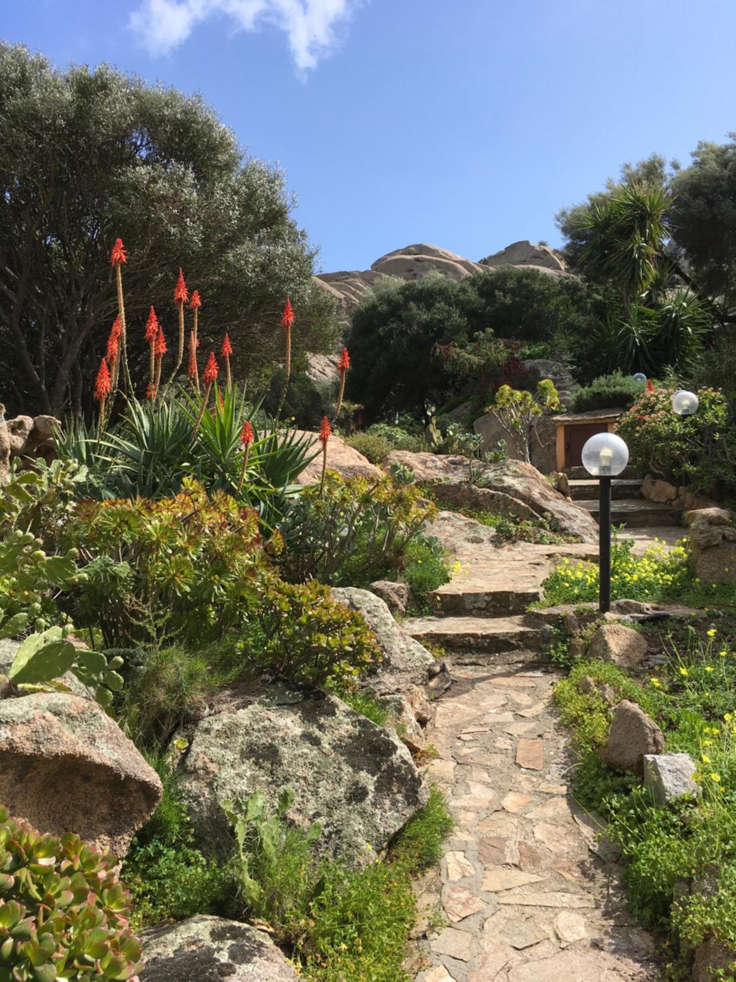 L'Olivastro Porto Cervo Exterior foto